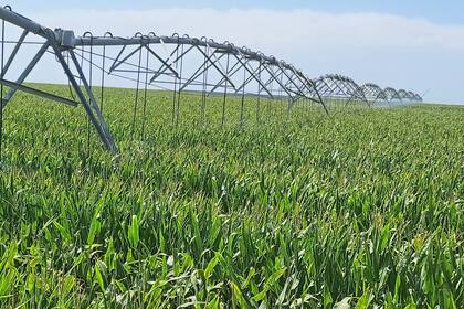 Es clave un desarrollo armónico para el sector