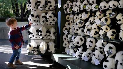 Es común que los niños se sientan atraídos hacia pandas de peluche