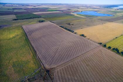Es creciente el enojo del campo por la mayor carga tributaria