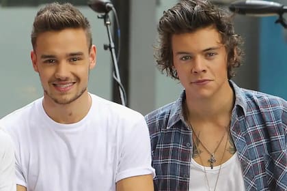 "Es difícil perder a cualquier amigo, pero es muy difícil perder a un amigo que se parece tanto a vos en tantos aspectos", reflexionó Styles sobre Payne