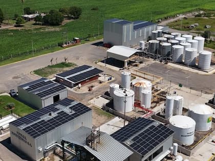 “Es economía circular porque en la planta de oleínas usamos como materia prima los desechos de la industria aceitera (gomas y borras) y algunos de la del biodiésel”, explicó a LA NACION el director de la compañía, Marcelo Kusznierz