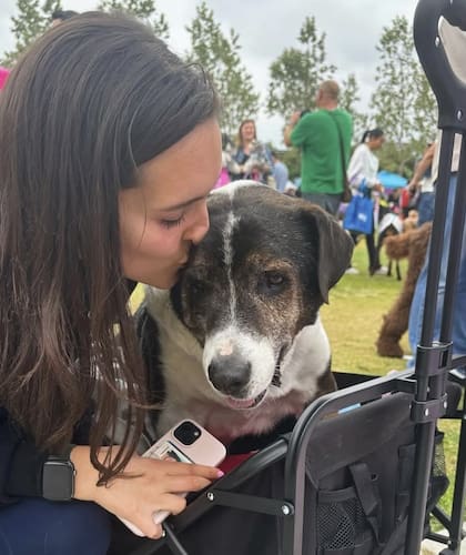 "Es el MEJOR perro. La idea de que pasara miedo o sintiera dolor cuando estaba en el refugio es devastadora", dijo Olivia.