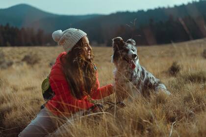 Es ideal acostumbrarlos desde cachorros a adaptarse a nuevas situaciones, como salidas en auto