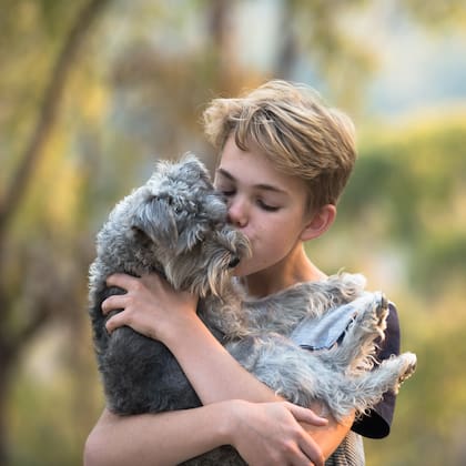 Es importante darle a los perros un espacio de confort donde pueda descansar sin interrupciones