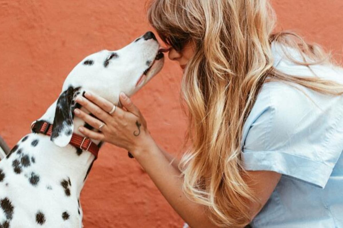 Es importante resguardar a los animales en esta época del año