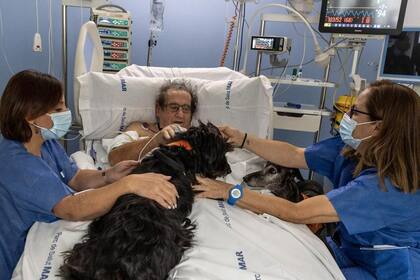 Es la primera vez que se realizan este tipo de tratamientos en terapia intensiva