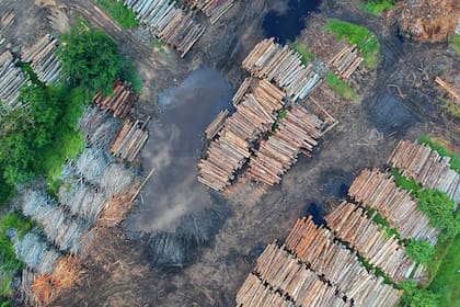 Es necesario cambiar los modos de producir y consumir para reducir drásticamente la emisión de gases de efecto invernadero