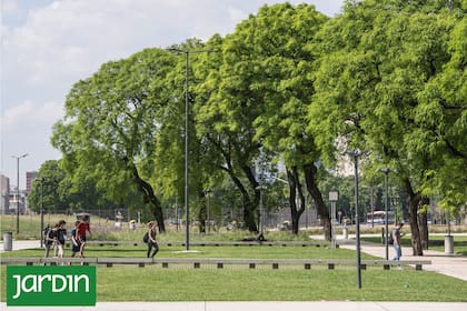 Es necesario comenzar a elegir los árboles en base al clima actual