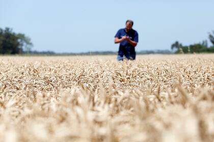 Es necesario facilitar la vida al productor