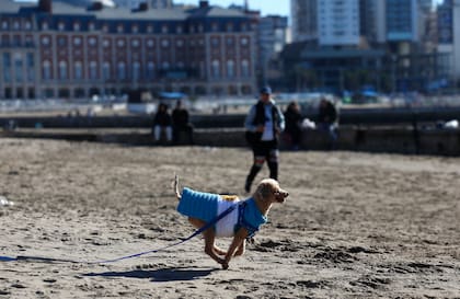 “Es por el clima, el Mundial y la escasez de recursos en el bolsillo”, resume Szkrohal