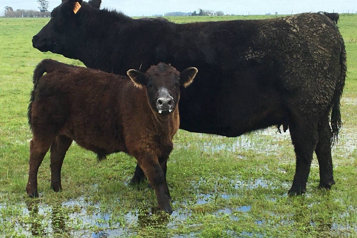 Es posible mejorar la eficiencia con tecnologías disponibles