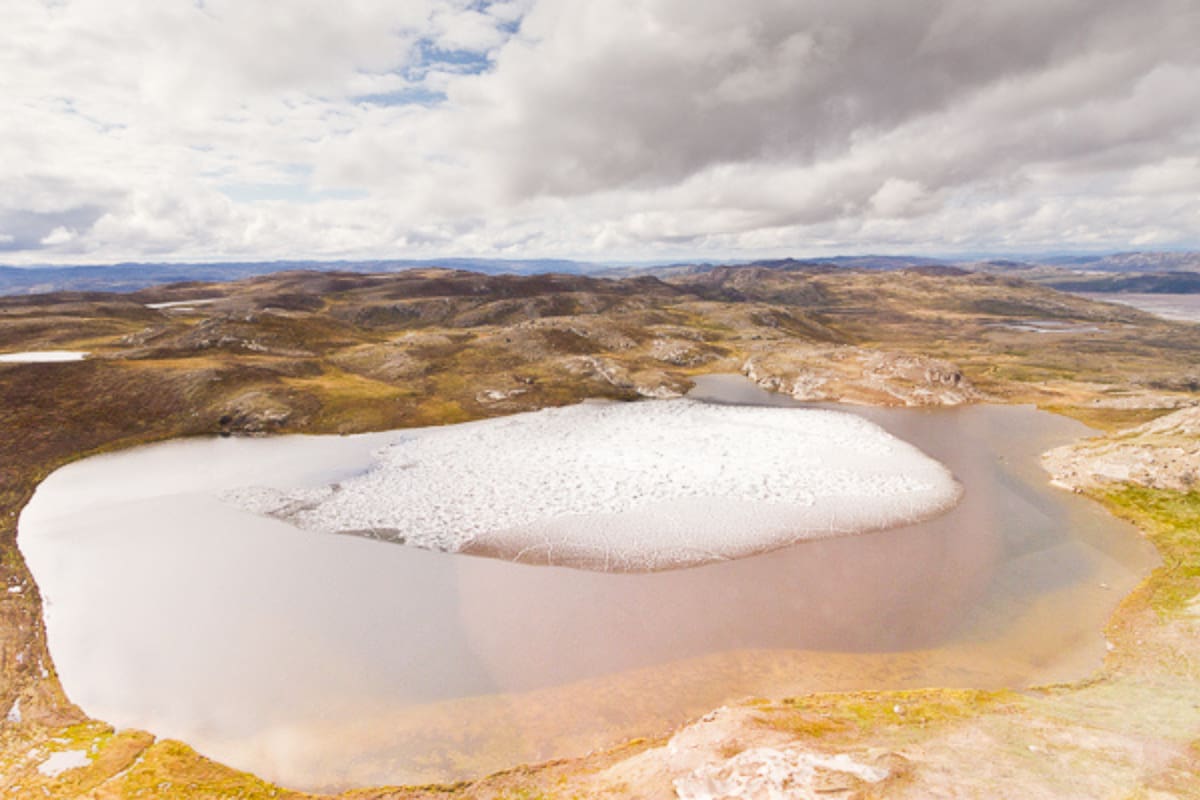 Es posible que la capa de hielo de Groenlandia haya desaparecido mucho más recientemente de lo que se pensaba, permitiendo que las plantas y los árboles prosperen