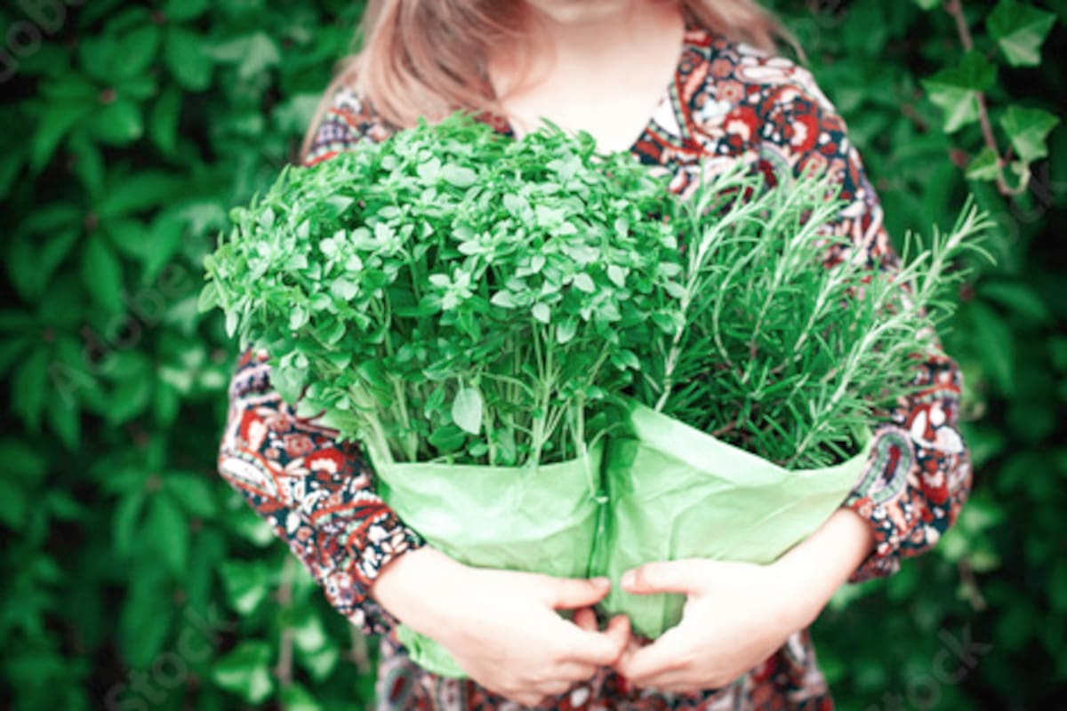 Es posible reducir los síntomas de la gripe y resfriado con infusiones de hierbas consideradas medicinales