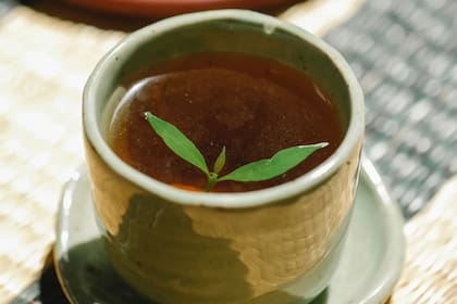Es recomendable tomarla como infusión