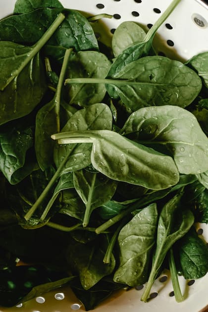 Es rica en nutrientes esenciales, incluyendo las vitaminas A, C, E y K