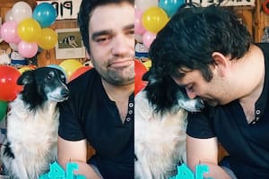 “Es todo para mí”: el homenaje de un hombre a su perro en su cumpleaños número 14