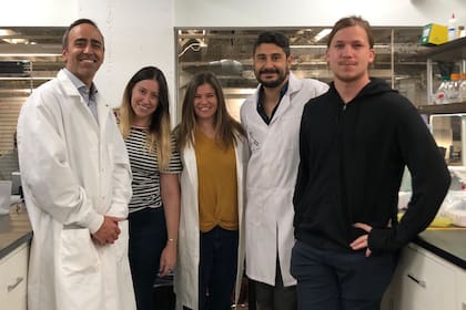 El equipo desarrollado por el proyecto argentino CASPR Biotech permitiría diagnosticar in situ y en menos de una hora la presencia o no del Coronavirus