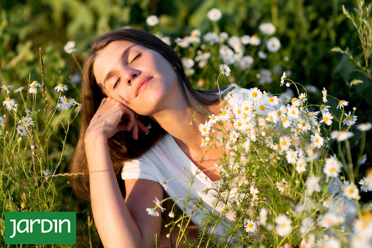 Es una aromática que esconde un mundo de beneficios tanto para el cuerpo como para el medioambiente