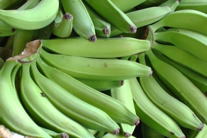 Es una fuente natural de carbohidratos complejos, moléculas que no se digieren completamente en el intestino delgado, lo que lo convierte en un tipo de fibra que beneficia la salud intestinal