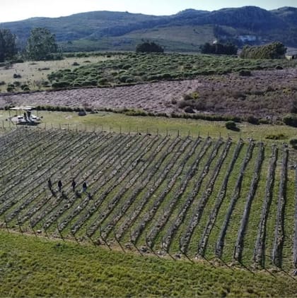 Es una gran alternativa si se visita Tandil
