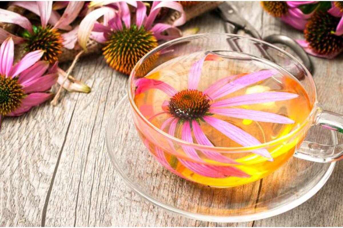 Es una planta herbácea con muchas propiedades para la salud