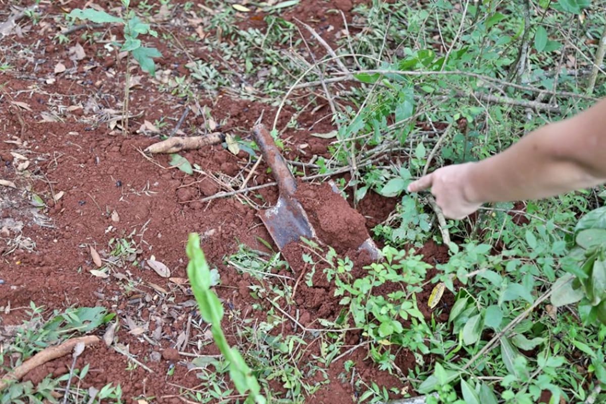 Escalofriante intento de femicidio en Itacuaré