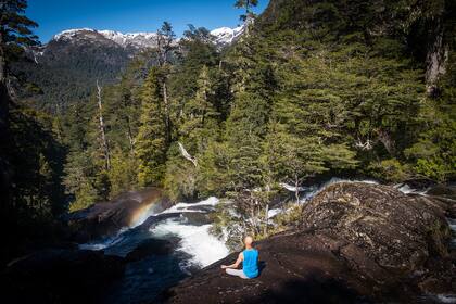 Escapadas de meditación: en Puerto Blest, entre la tupida vegetación de la selva valdiviana, programas enfocados en la respiración y la postura corporal