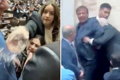 Escenas del descalabro: la diputada Bonacci le tira un vaso de agua a Lilia Lemoine y Oscar Zago y Lisandro Almirón se trompean en el recinto