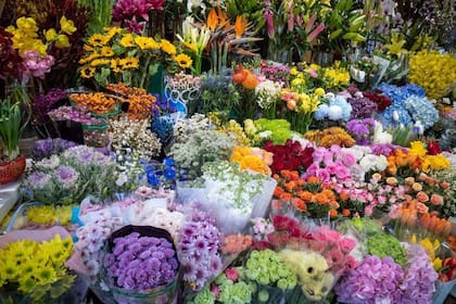 Escoge una... cualquiera.