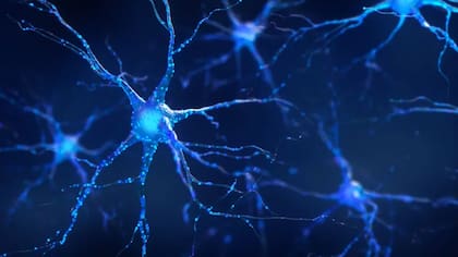 Escribir a mano fortalece las conexiones neuronales, lo que hace más inteligentes a estos individuos