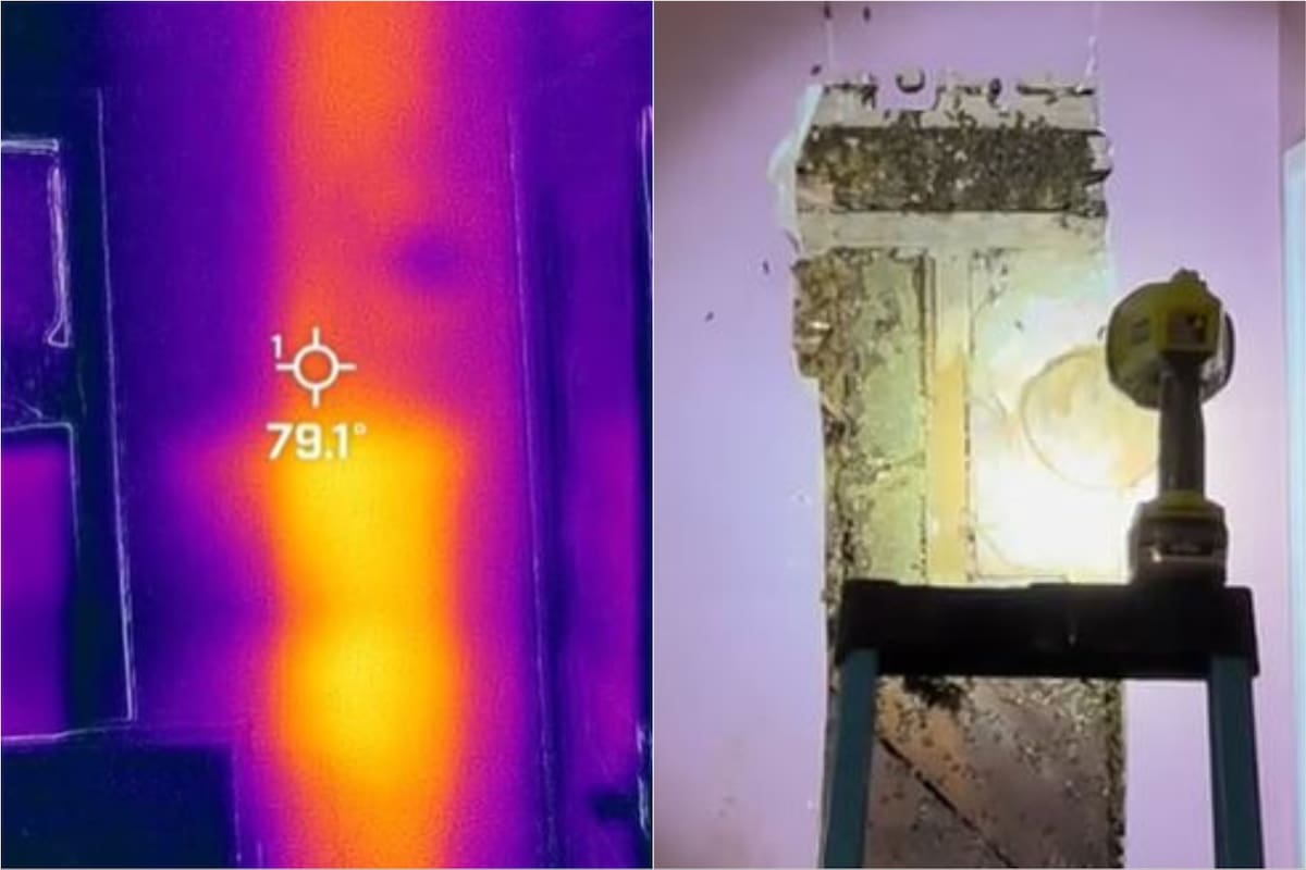 Escuchó ruidos detrás de una pared, creyó que era una fantasma y el desenlace dejó atónito a todos