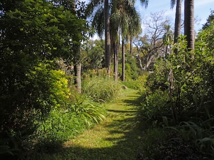 Escuela de Floricultura y Jardinería, la legendaria calle de las palmeras que recibía a personalidades.