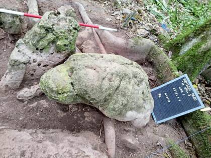 Esculturas antropomórficas halladas en el sitio Los Abuelos, consideradas representaciones de una pareja ancestral