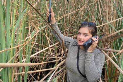 Ese es uno de los aparatos con los que se rastrean las pitones en Florida