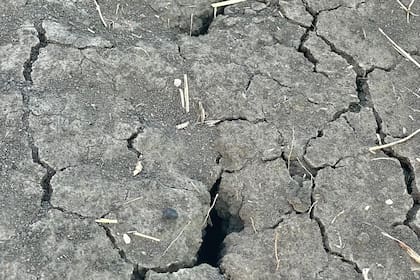 “Esos son campos que necesitan ‘un pelo de agua’ para mantener buenos pastos y fundamentalmente para tener a tener agua para la hacienda. Resulta que ahí no hay agua en el subsuelo y lo que se obtiene perforando a pocos metros ya no sirve porque es insalubre por el arsénico”, apuntó el productor