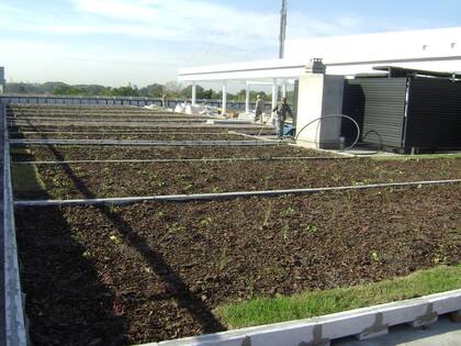 Espacios que ayudan a bajar la temperatura de los inmuebles