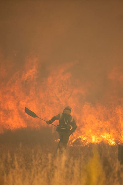 En fotos: el fuego devora miles de hectáreas en España