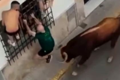 España: un hombre de 57 años murió tras ser embestido varias veces por un toro durante una celebración popular