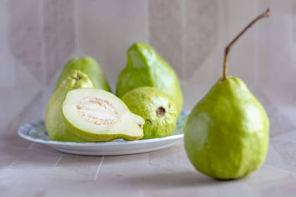 Especialistas del hospital Vet Playas recomiendan quitar la piel y las semillas de la guayaba antes de ofrecerla a los perros