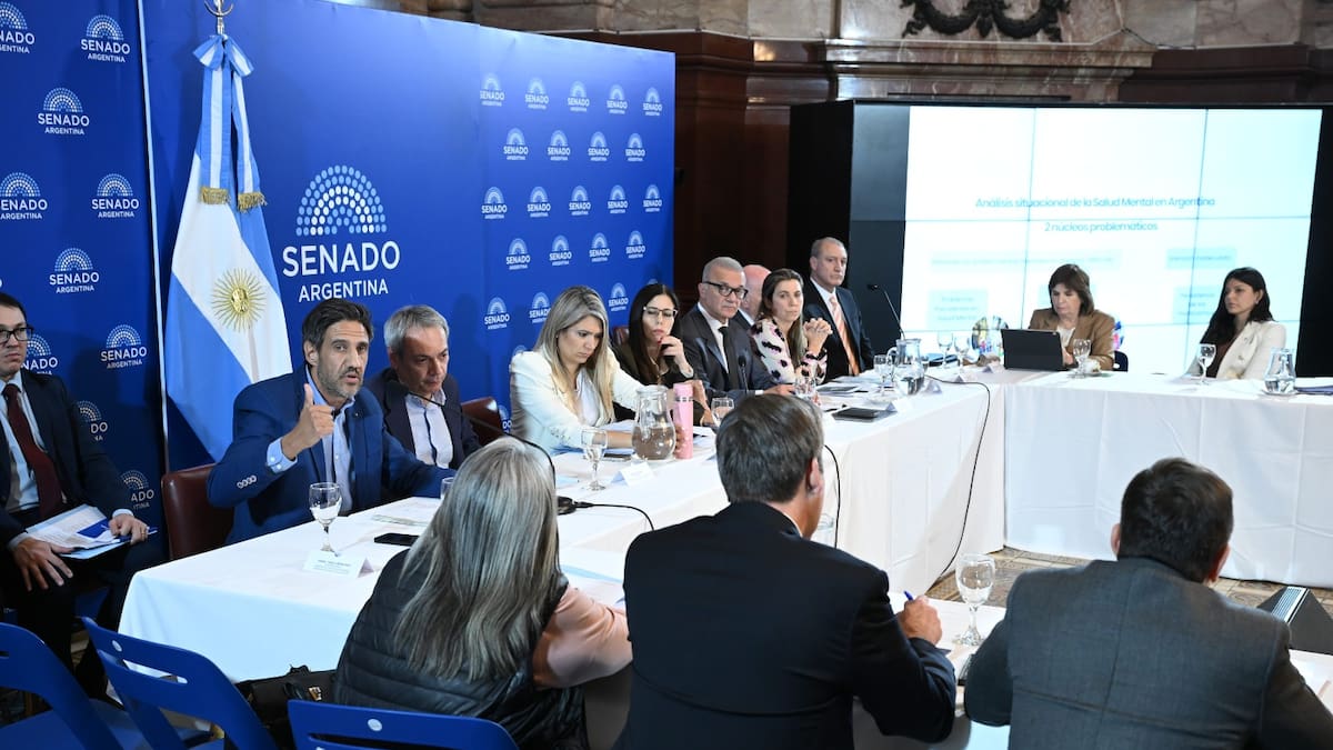 La política no puede interferir”: avanza el debate sobre el proyecto de reforma de salud mental en el Senado - LA NACION