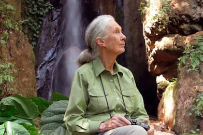 "Especialmente cuando estoy en un bosque me siento muy fuertemente conectada a una gran fuerza espiritual, y mantengo al bosque dentro de mí"