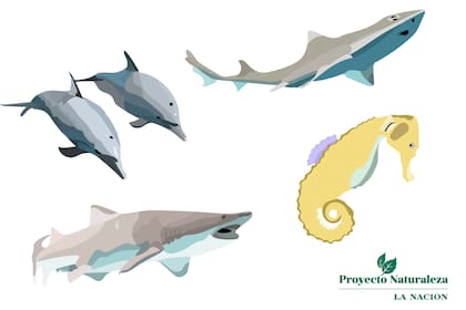 Especies en peligro: