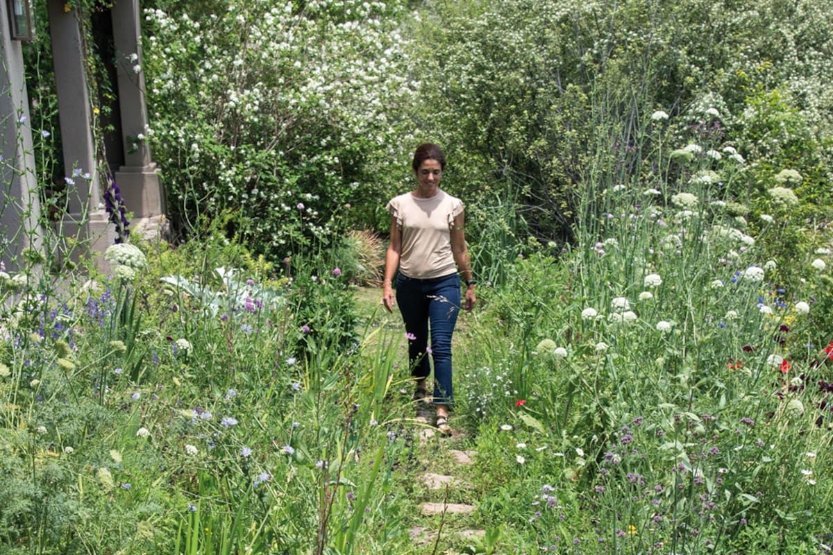 Especies silvestres, una pequeña colección de rosas y una huerta en un antiguo espacio en desuso