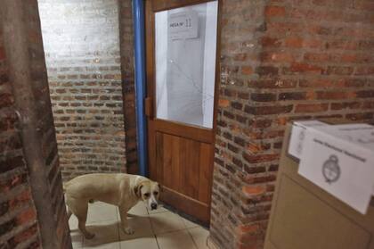 Esperando para entrar al cuarto oscuro