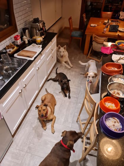 Esperando su comida