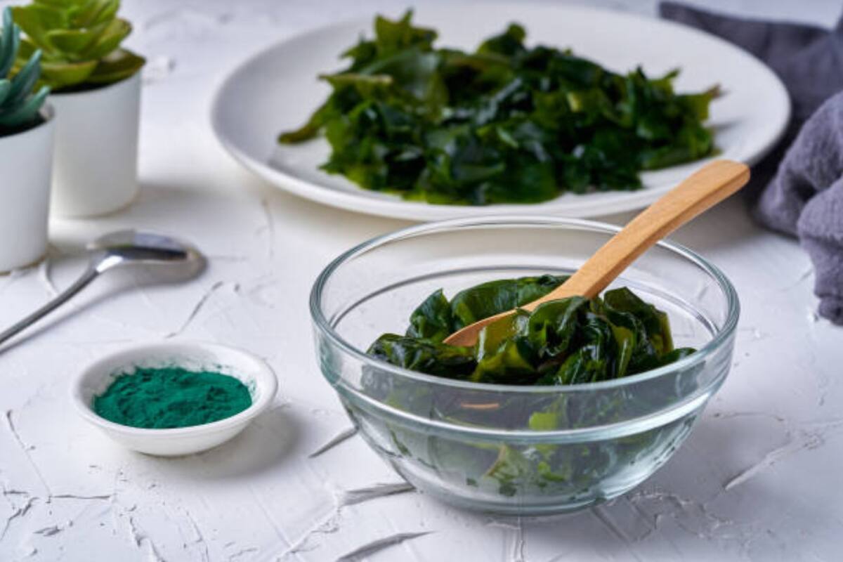 Espirulina, el suplemento dietético con múltiples propiedades (Foto: Pixabay)