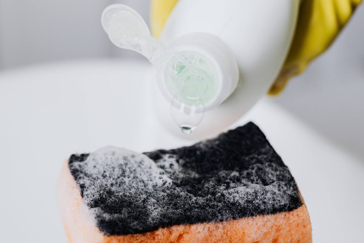 Esponjas, rejillas y repasadores de cocina alojan gran variedad de bacterias