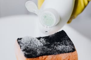 Esponjas, rejillas y repasadores de cocina alojan gran variedad de bacterias