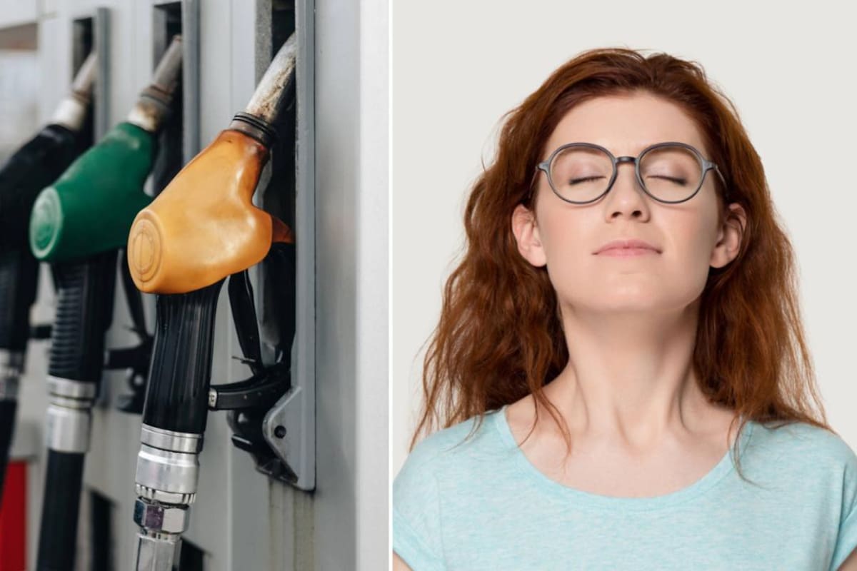 Esta atracción hacia el olor de la gasolina tiene varias explicaciones (Foto: iStock)