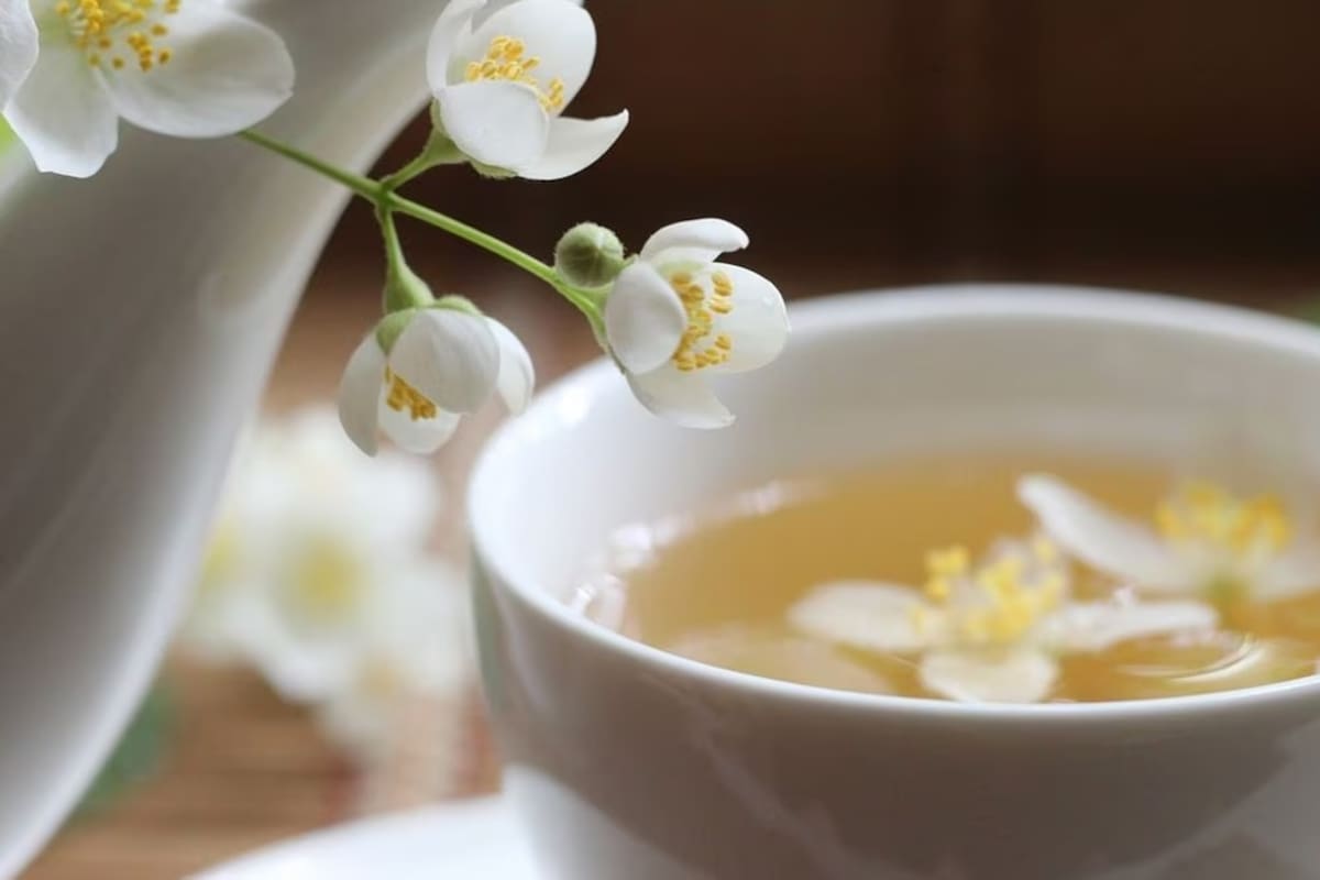 Esta bebida es ideal para calmar el estrés (Foto: artoxana / Pixabay)